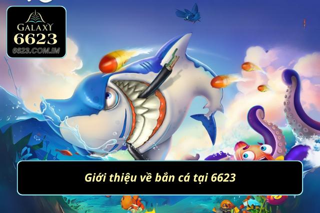 Thông tin nổi bật về chuyên mục săn cá tại nhà cái 6623