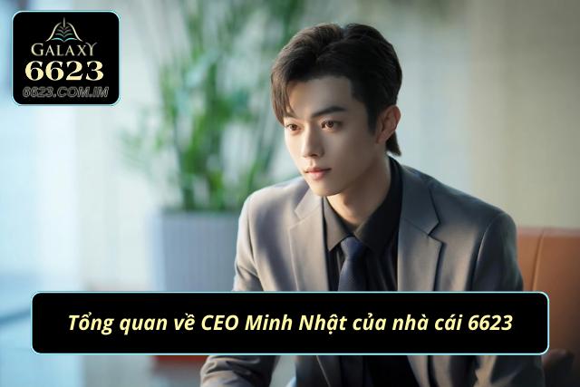 Minh Nhật - CEO 6623 đa tài