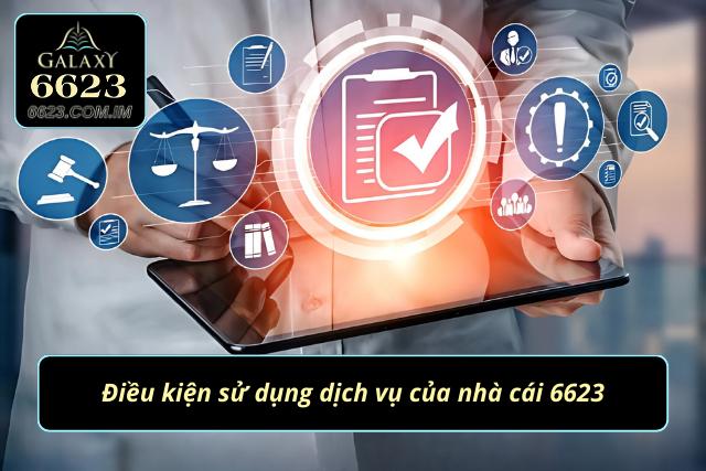 Tổng hợp những điều kiện sử dụng dịch vụ tại nhà cái 6623