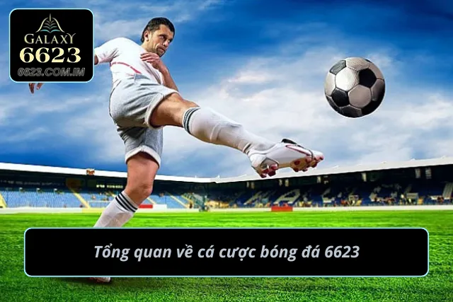 Thông tin chi tiết về cá cược môn bóng đá