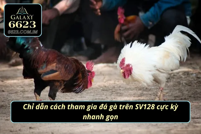 Hướng dẫn tham gia chọi kê đơn giản và thần tốc