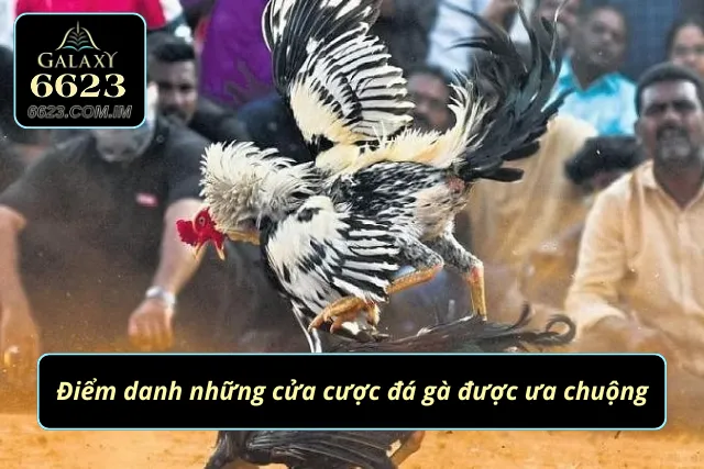 Cửa cược đá gà mang về tỷ lệ cược cao ngất ngưởng