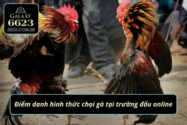 Loại hình so tài chiến kê phổ biến tại đấu trường online