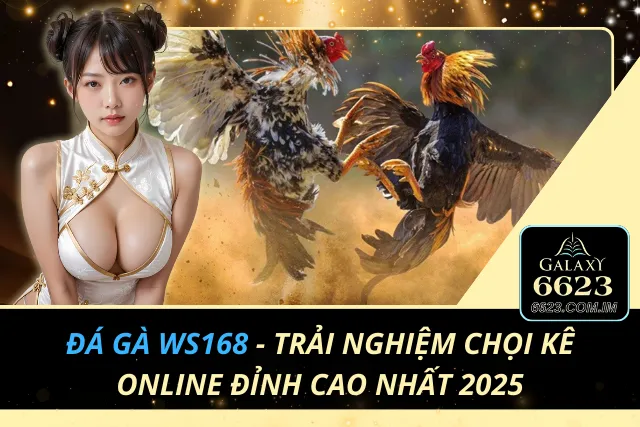 Đá Gà WS168