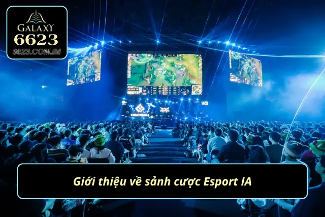 Sảnh cược thể thao điện tử được nhiều người tin tưởng